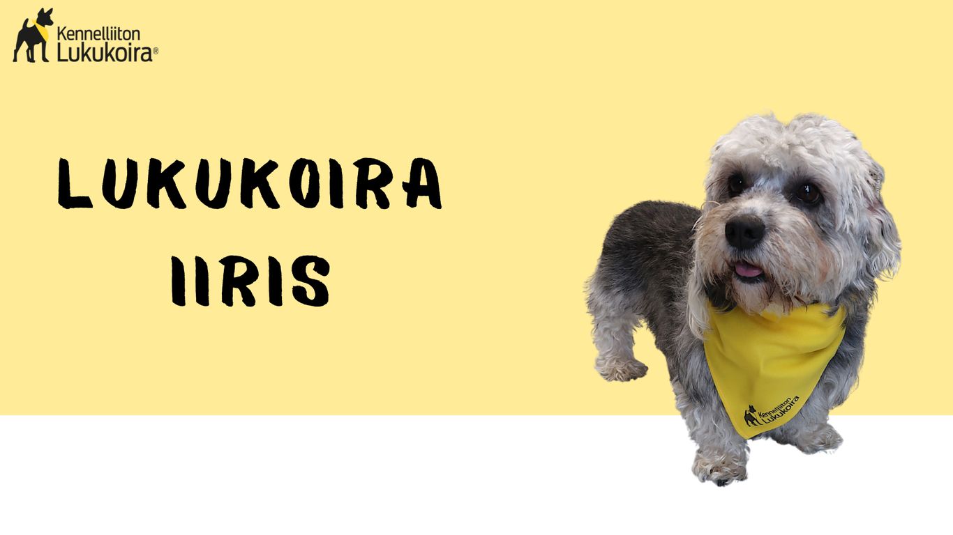 Lukukoira Iiris