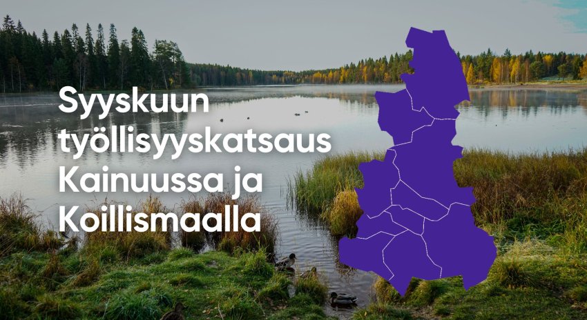 Syyskuun työllisyyskatsaus Kainuu-Koillismaan työllisyysalue